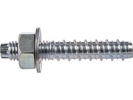 TRUSCO �^�b�v�X�^�[ �X�`�[�� �o�P�c�Z�b�g M10�~60 100�{�� BTTP-1060