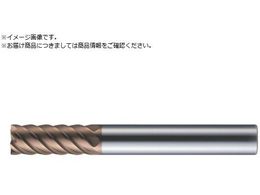 MOLDINO dWAXGh~ G|bNTHn[h M[n CEPR6080-TH CEPR6080-TH