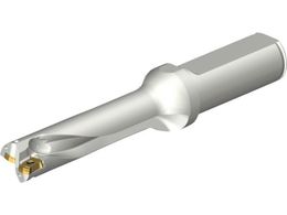 SANDVIK RhDS20nh 465 DS20-D1600L20-04 465