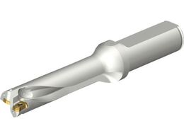 SANDVIK RhDS20nh 465 DS20-D1700L20-04 465