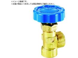 Fujikin �������j�[�h���X�g�b�v�o���u �A���O���` DS-31C-R