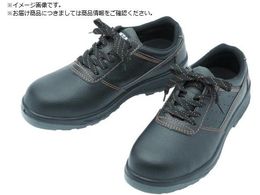 ~hS cƌC DSF-01 24.5 DSF-01-24.5