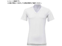 x^  X  fIhCYebN VlbN zCg L DT-25153150