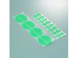 IWATA }XLOV[  ڈEbv^ut 10 ERD26-P