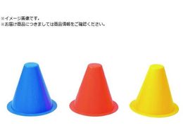 g[GCCg \tgR[i[|Cg13 G1710Y