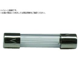 �T�J�d�� �K���X�ǃq���[�Y GF�V���[�Y AC250V-10A 2�� GF-10A