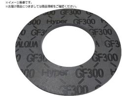 VALQUA ubNnCp[KXPbg Ăьa65A GF300G-J5L065