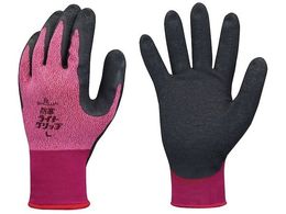 SHOWA h GW343 hCgObv bh MTCY