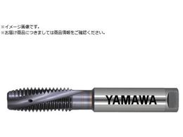 } hCHEpX`[pʂ茊pXpC^bv HDISL P4 M10X1.25 HDISL-M10X1.25