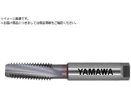 } pX`[p[XpC^bv HFISP P4 M18X1.5 HFISP-M18X1.5