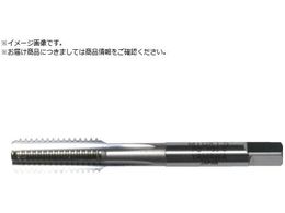 } nh^bv HT P3 M10X0.75 5P HTP-M10X0.75-2