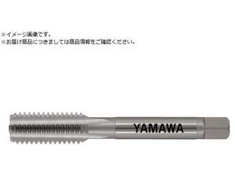 } nh^bv HT P3 M10X1.5 1.5P HTP-M10X1.5-3