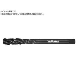 } Z-PRO X`[pnCubho[XpC^bv HVSP P4 M8X1.25 HVSP-P4-M8X1.25