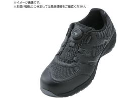 IGNIO _CZ[teBV[Y B ubN22.5cm