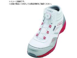 IGNIO _CZ[teBV[Y A zCg26.5cm