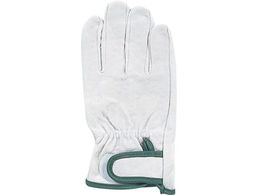 ӂ JW 825  }WbN~ PL M JW825-M