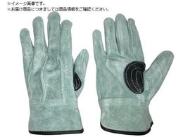 ӂ ICv V Aet L K-495-L