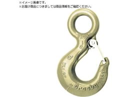 Crosby ACtbN {gp׏d2.5t L-320AN-2.5